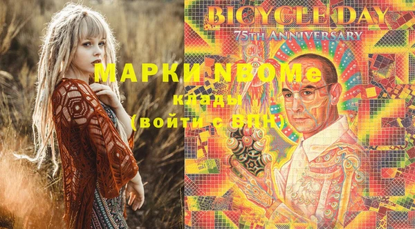 дживик Няндома