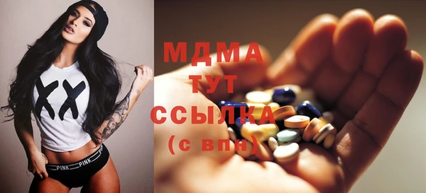 дживик Няндома