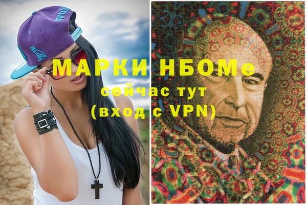 дживик Няндома