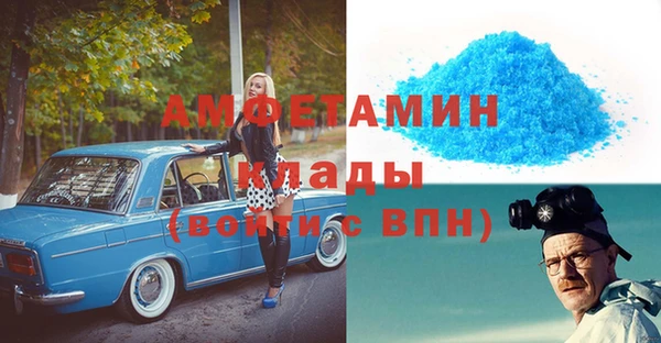 дживик Няндома