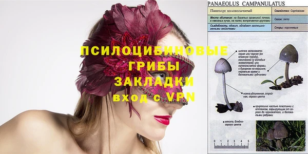 дживик Няндома