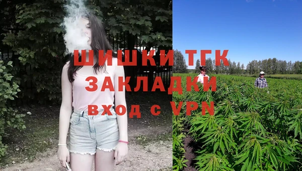 дживик Няндома