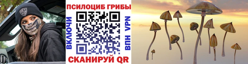 наркотики  Киреевск  Галлюциногенные грибы MAGIC MUSHROOMS 