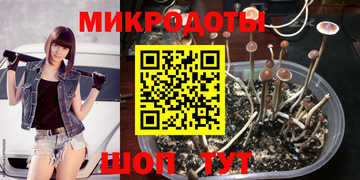 Галлюциногенные грибы MAGIC MUSHROOMS  как найти наркотики  Псилоцибиновые грибы Psilocybe  Киреевск 