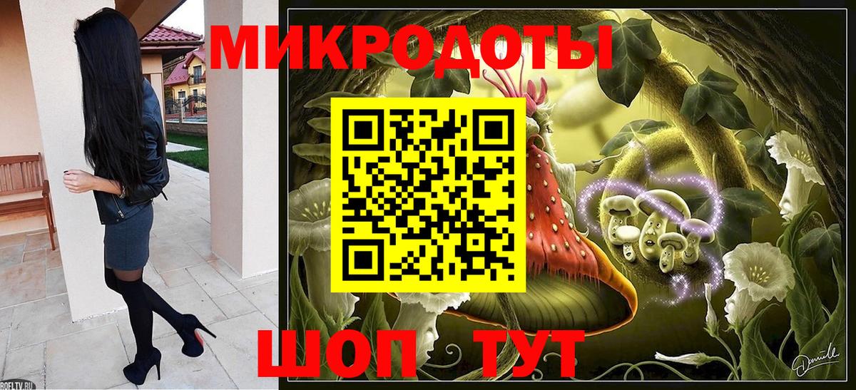 Псилоцибиновые грибы Psilocybine cubensis Киреевск