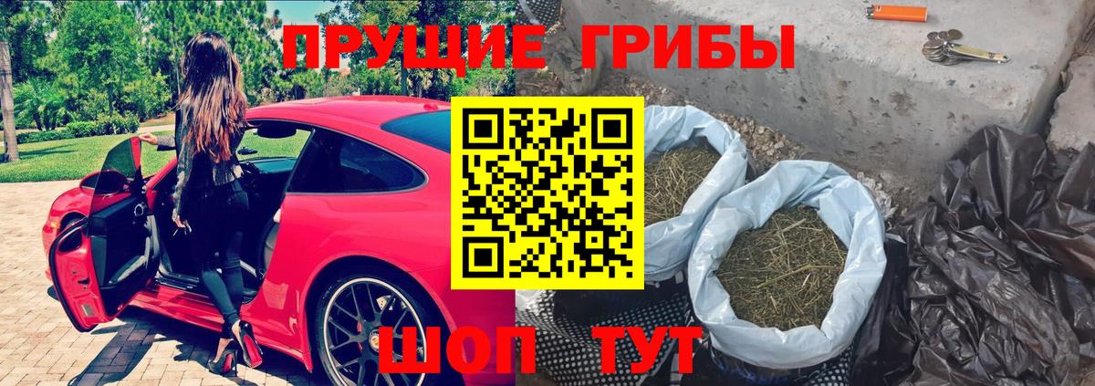 Киреевск  закладка  Вход с VPN  Псилоцибиновые грибы MAGIC MUSHROOMS  Галлюциногенные грибы мухоморы 